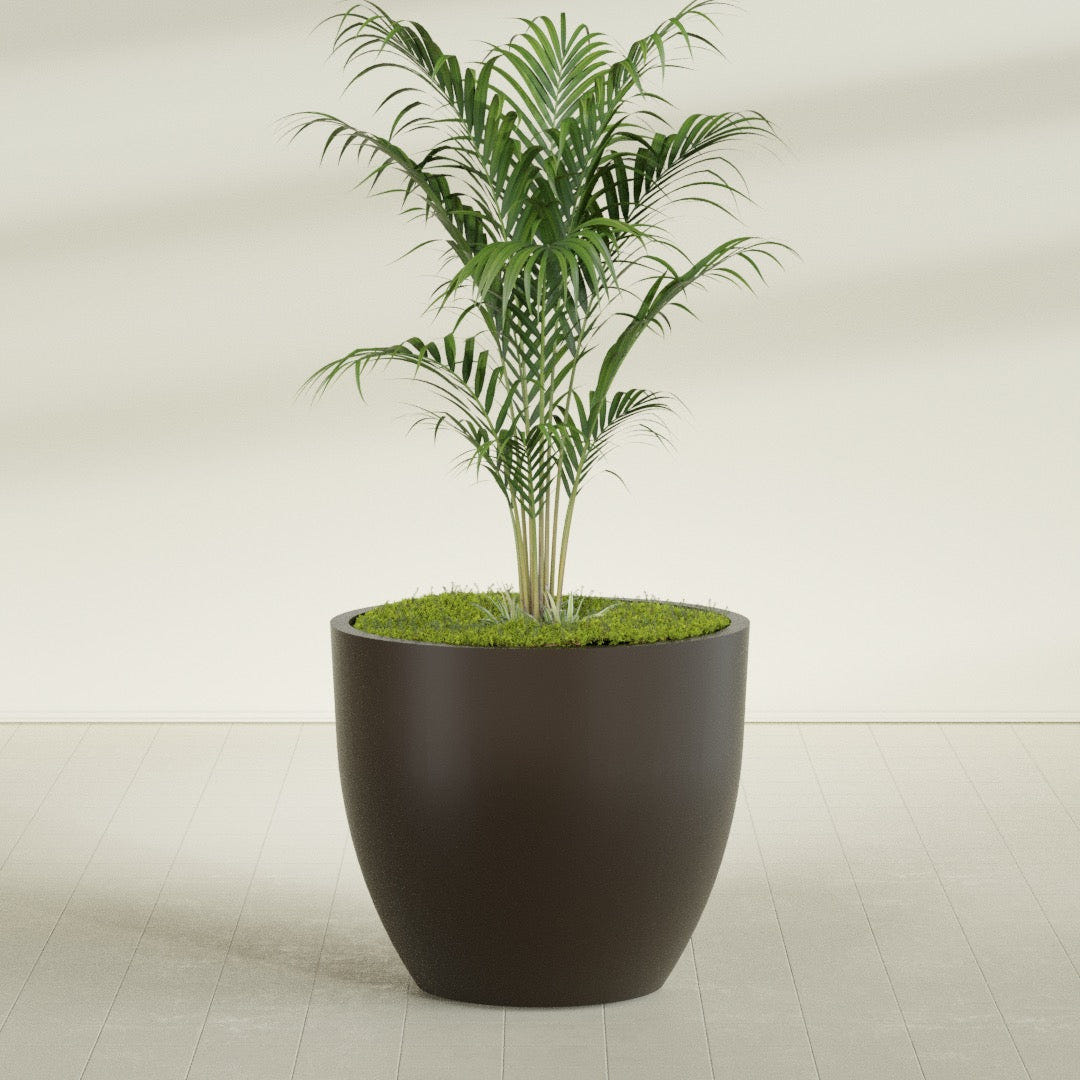 Wannsee Round fiberglass planter in Matte Dark Brown, shown planted, in a sunlit interior
