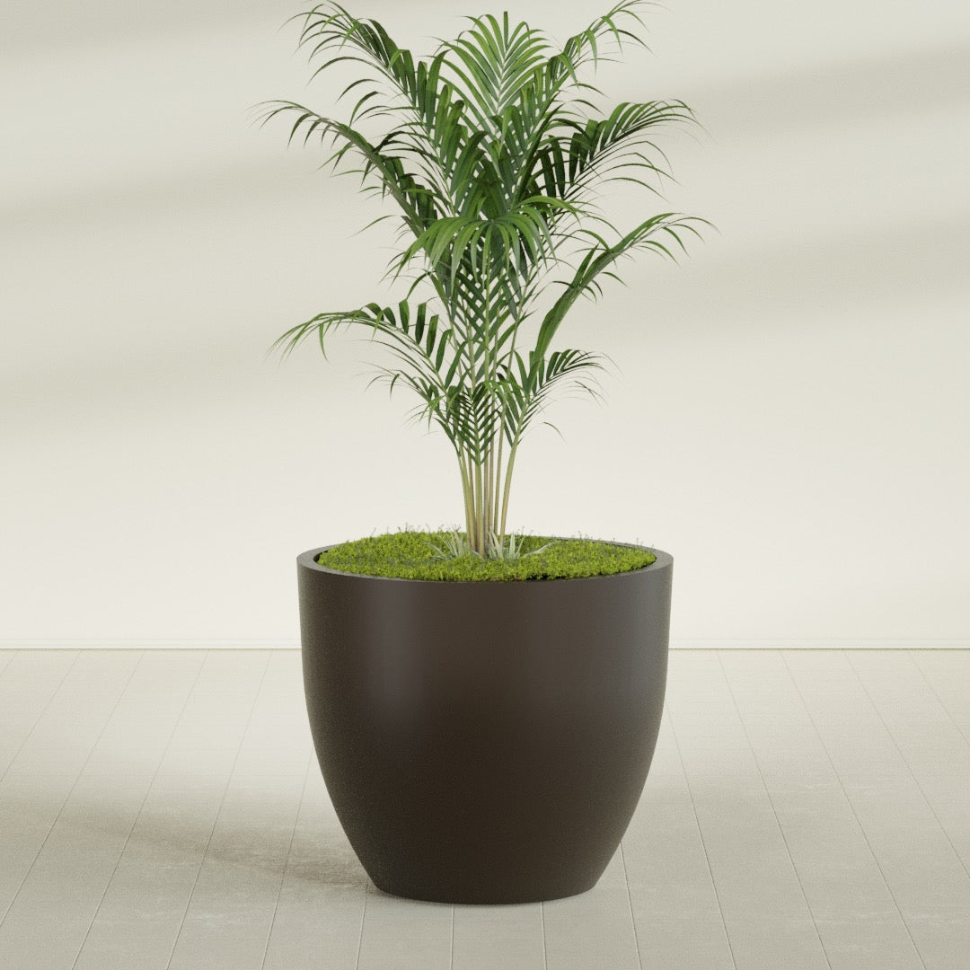 Wannsee Round fiberglass planter in Matte Dark Brown, shown planted, in a sunlit interior
