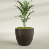Wannsee Round fiberglass planter in Matte Dark Brown, shown planted, in a sunlit interior