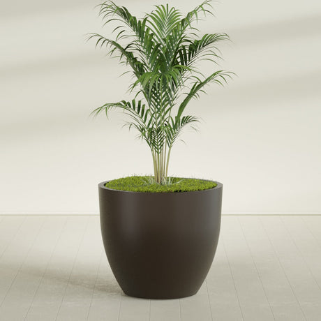Wannsee Round fiberglass planter in Matte Dark Brown, shown planted, in a sunlit interior