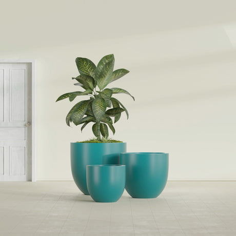 Alzira Bowl fiberglass planter in Satin Seafoam Green, size range, in a sunlit interior