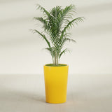 Tegel Round Tapered fiberglass planter in Gloss Saffron, shown planted, in a sunlit interior