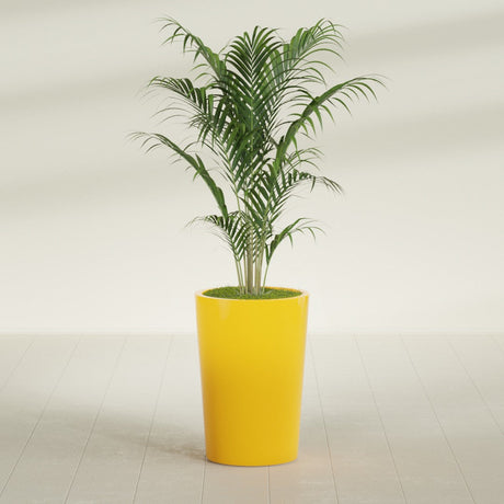 Tegel Round Tapered fiberglass planter in Gloss Saffron, shown planted, in a sunlit interior