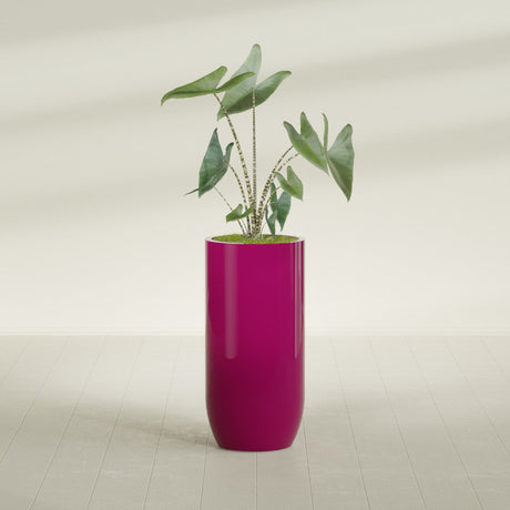 Saint Tropez Bullet Round fiberglass planter in Gloss Eggplant, planted, in a sunlit interior