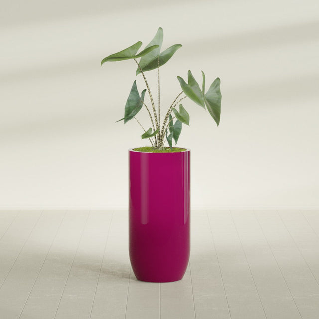 Saint Tropez Bullet Round fiberglass planter in Gloss Eggplant, planted, in a sunlit interior