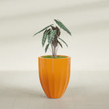 Alicante Fluted fiberglass planter in Gloss Tangerine, shown planted, in a sunlit interior