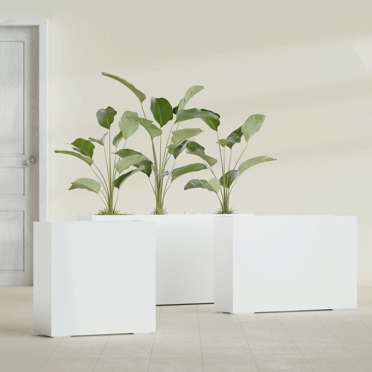 Milano Narrow Rectangular fiberglass planter in Gloss Bright White, shown planted, in a sunlit interior