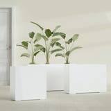 Milano Narrow Rectangular fiberglass planter in Gloss Bright White, shown planted, in a sunlit interior
