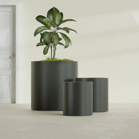 Rio Grande Cylinder fiberglass planter in Matte Charcoal, size range, in a sunlit interior