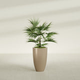 Brannan Tapered Round fiberglass planter in Gloss Metallic Gold, shown planted, in a sunlit interior