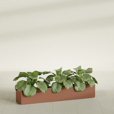 Salon Box fiberglass planter in Matte Terra Cotta, shown planted, in a sunlit interior