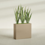 Delray Corner fiberglass planter in Gloss Metallic Gold, shown planted, in a sunlit interior