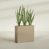 Delray Rectangular fiberglass planter in Gloss Metallic Gold, shown planted, in a sunlit interior