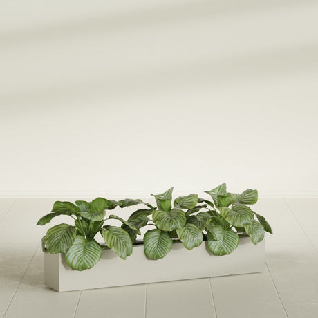 Salon Box fiberglass planter in Satin Beige, shown planted, in a sunlit interior