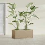 Badalona Rectangular fiberglass planter in Gloss Metallic Gold, shown planted, in a sunlit interior