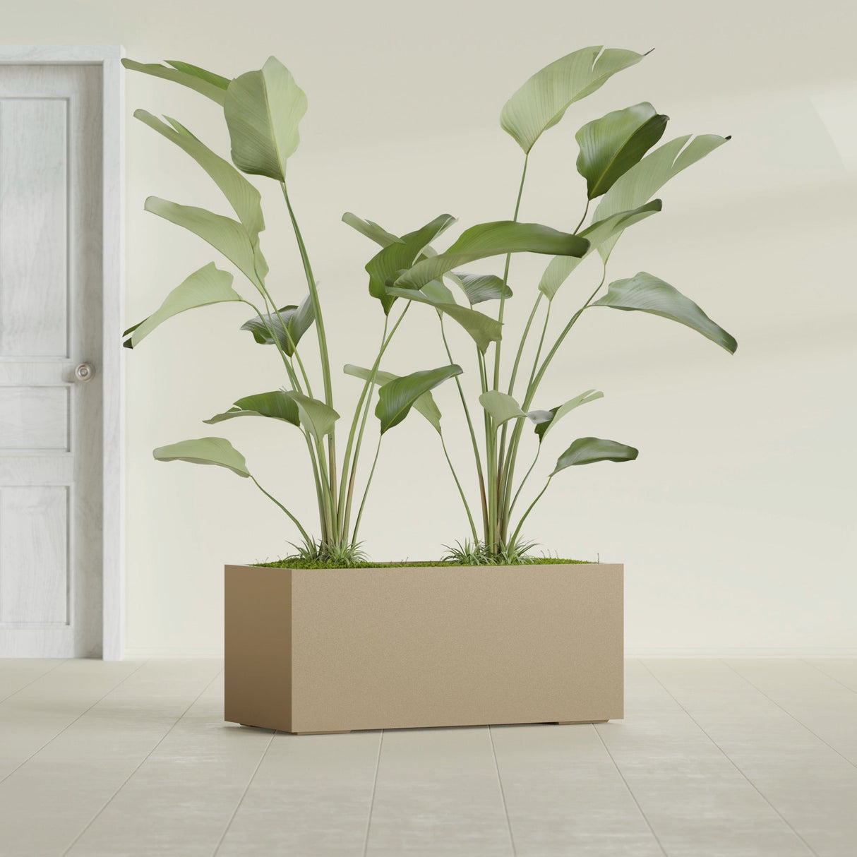 Badalona Rectangular fiberglass planter in Gloss Metallic Gold, shown planted, in a sunlit interior