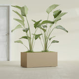 Badalona Rectangular fiberglass planter in Gloss Metallic Gold, shown planted, in a sunlit interior
