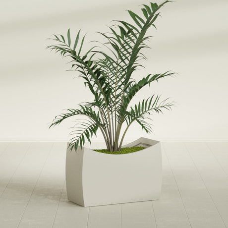 Seoul Curved fiberglass planter in Satin Beige, shown planted, in a sunlit interior