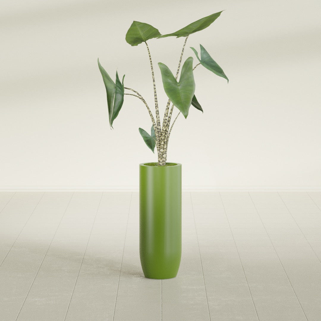 Saint Tropez Bullet Round fiberglass planter in Satin Green, shown planted, in a sunlit interior