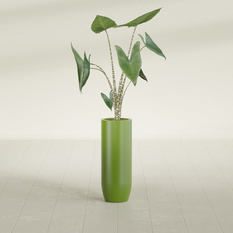 Saint Tropez Bullet Round fiberglass planter in Satin Green, shown planted, in a sunlit interior
