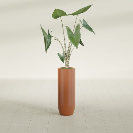 Saint Tropez Bullet Round fiberglass planter in Matte Terra Cotta, shown planted, in a sunlit interior