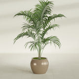 Shanghai Fishbowl fiberglass planter in Gloss Metallic Gold, shown planted, in a sunlit interior