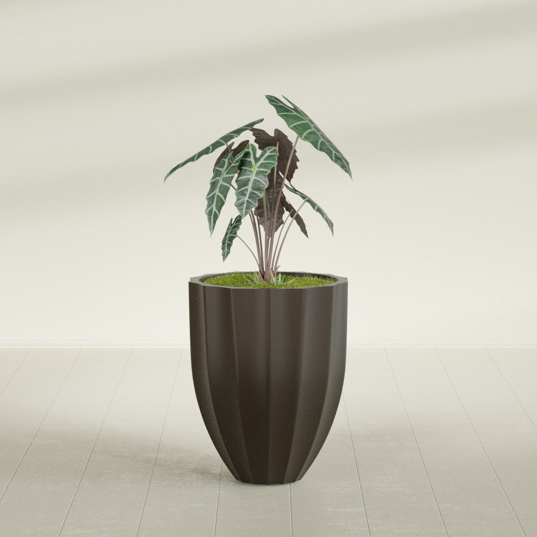 Alicante Fluted fiberglass planter in Matte Dark Brown, shown planted, in a sunlit interior