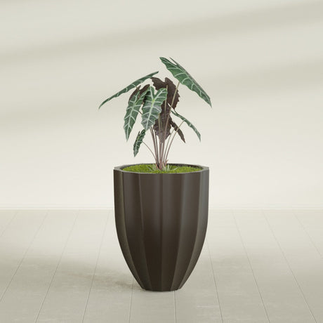 Alicante Fluted fiberglass planter in Matte Dark Brown, shown planted, in a sunlit interior