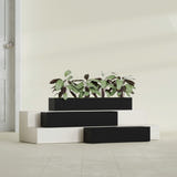 Salon Box fiberglass planter in Matte Black, size range, in a sunlit interior