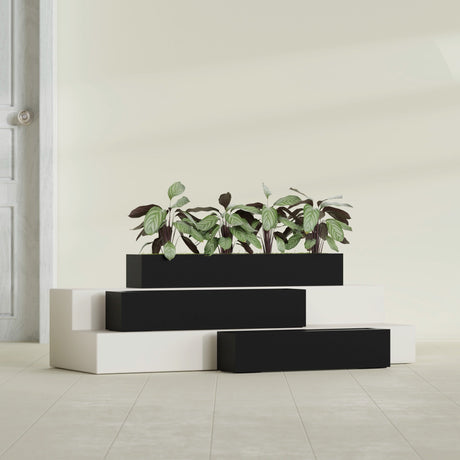Salon Box fiberglass planter in Matte Black, size range, in a sunlit interior