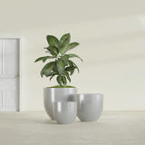 Alzira Bowl fiberglass planter in Metallic Silver, size range, in a sunlit interior
