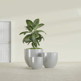 Alzira Bowl fiberglass planter in Metallic Silver, size range, in a sunlit interior