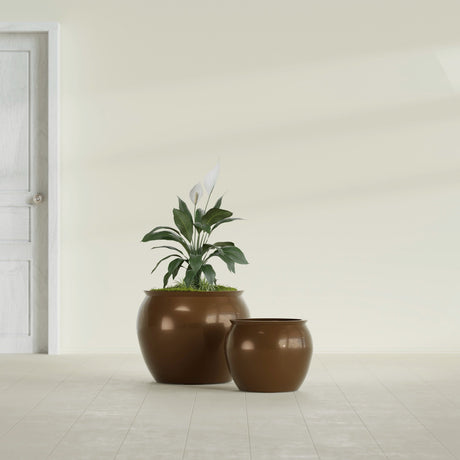 Shanghai Fishbowl fiberglass planter in Metallic Bronze, size range, in a sunlit interior