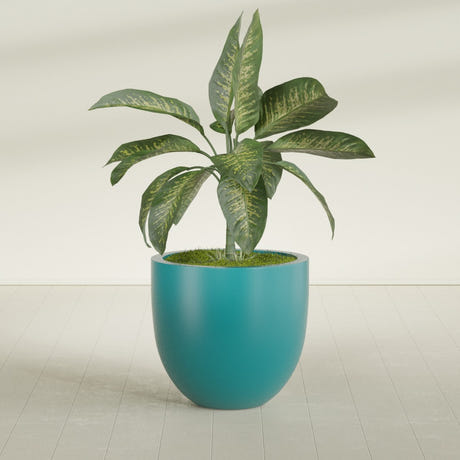 Alzira Bowl fiberglass planter in Satin Seafoam Green, planted, in a sunlit interior