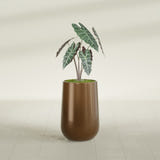 Hayden Urn fiberglass planter in Metallic Bronze, shown planted, in a sunlit interior
