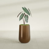 Hayden Urn fiberglass planter in Metallic Bronze, shown planted, in a sunlit interior
