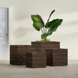 Asheville Cube planter in textured walnut, size range, in a sunlit interior