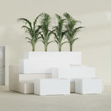 Torino Wide Rectangular fiberglass planter in Matte Bright White, size range, in a sunlit interior