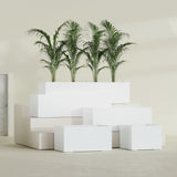 Torino Wide Rectangular fiberglass planter in Matte Bright White, size range, in a sunlit interior