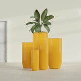 Saint Tropez Bullet Round fiberglass planter in Gloss Saffron, size range, in a sunlit interior