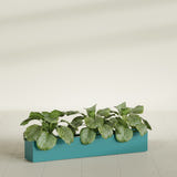 Salon Box fiberglass planter in Satin Seafoam Green, shown planted, in a sunlit interior