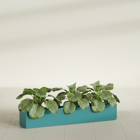 Salon Box fiberglass planter in Satin Seafoam Green, shown planted, in a sunlit interior
