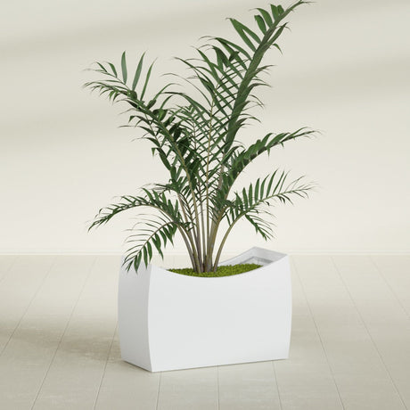 Seoul Curved fiberglass planter in Gloss Bright White, shown planted, in a sunlit interior
