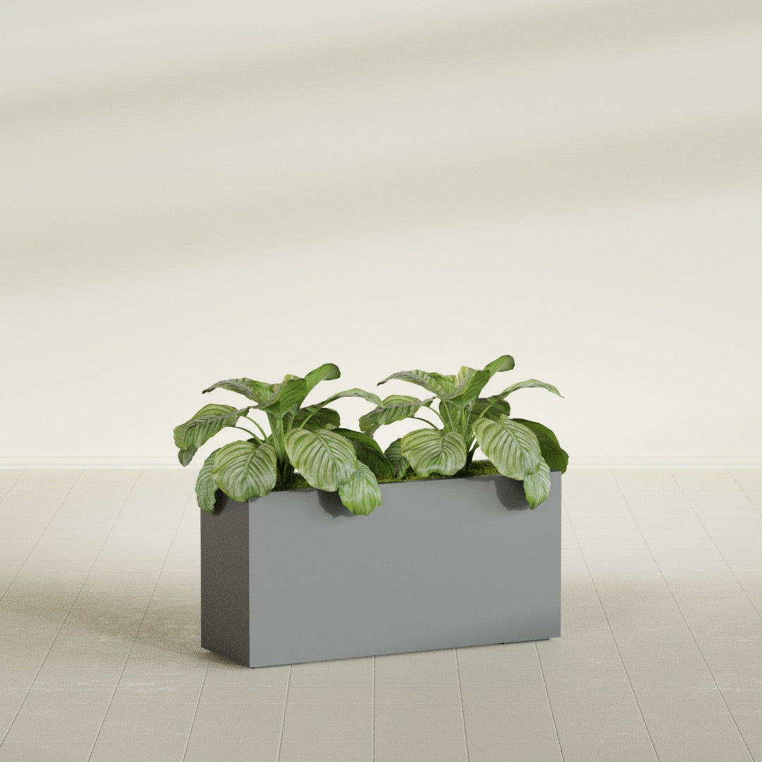 Miami Narrow Rectangular fiberglass planter in Matte Gunmetal, shown planted, in a sunlit interior