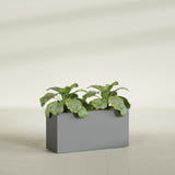 Miami Narrow Rectangular fiberglass planter in Matte Gunmetal, shown planted, in a sunlit interior