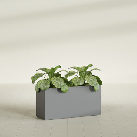 Miami Narrow Rectangular fiberglass planter in Matte Gunmetal, shown planted, in a sunlit interior