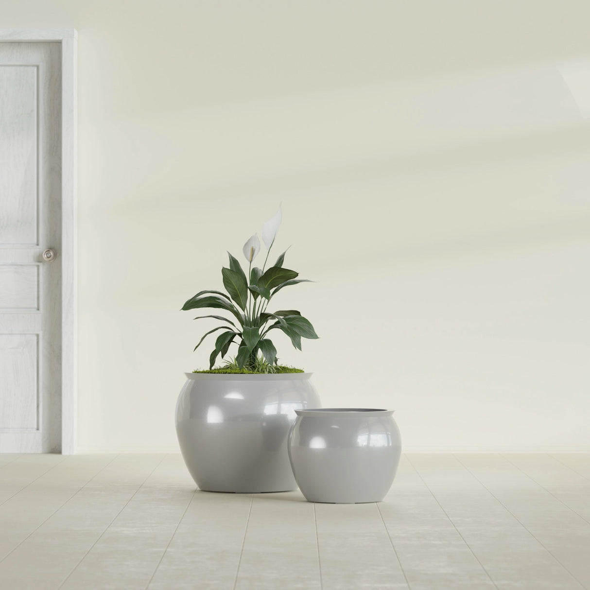 Shanghai Fishbowl fiberglass planter in Metallic Silver, size range, in a sunlit interior