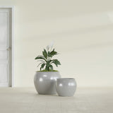 Shanghai Fishbowl fiberglass planter in Metallic Silver, size range, in a sunlit interior