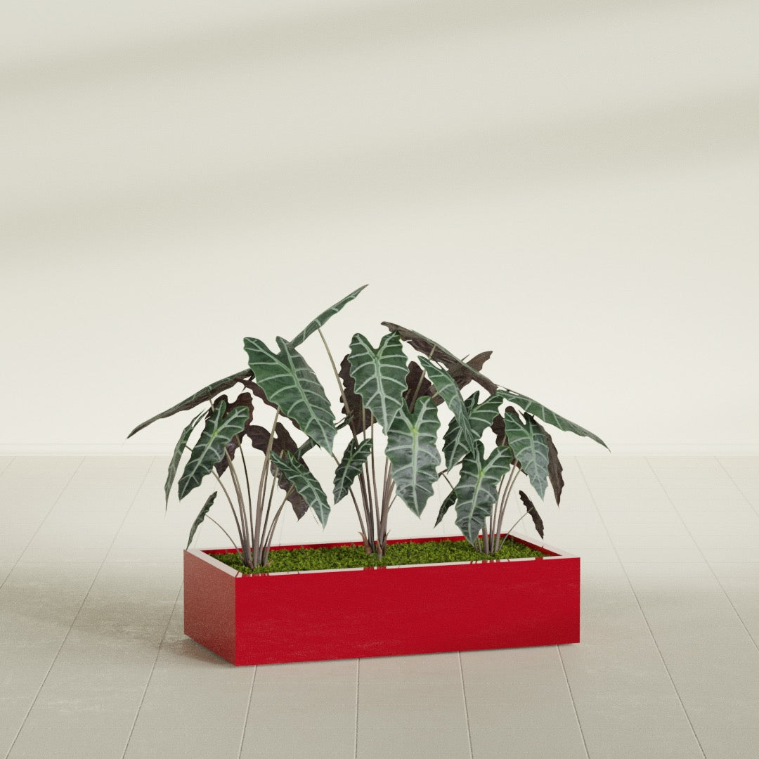 Antwerp Rectangular fiberglass planter in Gloss Red, shown planted, in a sunlit interior
