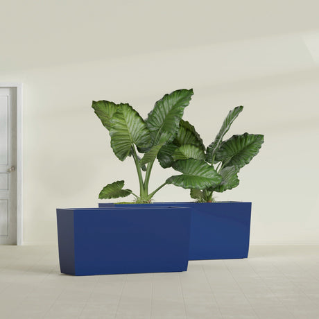 Panama Tapered Rectangular fiberglass planter in Matte Cobalt Blue, shown planted, in a sunlit interior